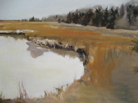 Afternoon Winter Reflection