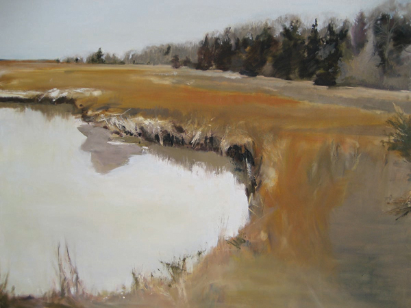 Afternoon Winter Reflection