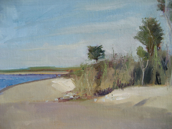 Walk on Beach in Spring