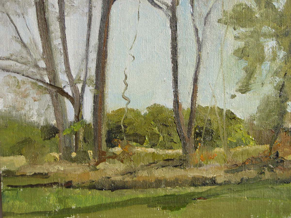 Park Trees